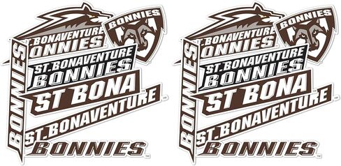 Desert Cactus St. Bonaventure University Sticker Bonnies Bonas Stickers Vinyl Decals Laptop Water Bottle Car Scrapbook 13.39x10.94 Sheet T2 (Type 2) in Saudi Arabia