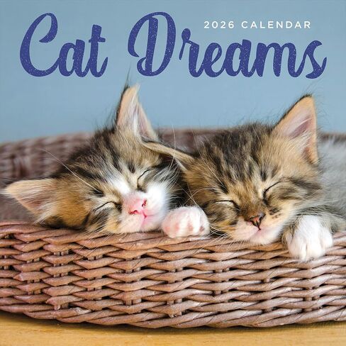 TF Publishing 2026 Corporate Cats Wall Calendar - Large Grids for Appointments and Scheduling - Vertical Monthly Wall Calendar 2026 with Premium Gloss Paper for Home and Office Organization - 12x12in in Saudi Arabia