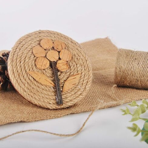 760 Feet 1mm 2ply Natural Jute Twine for Artworks and Crafts, Juke, Gift Wrapping, Garden (2 PcsX380 Feet) in Saudi Arabia
