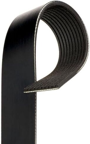 Belt in Saudi Arabia