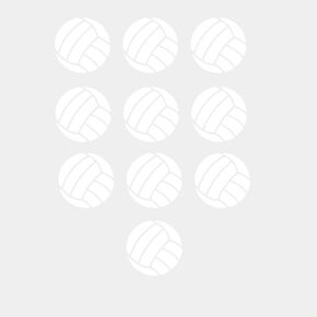 10 Volleyballs Iron on Decal Transfers, Mini 1x1 inch Volley Ball Vinyl Patches, Volleyball Player Team Gifts, Sport Patches, Iron-On Most Items in 5 Minutes, Bulk Set Balls