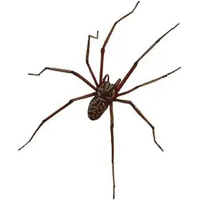Realistic Spider Earrings Scary Spider Earrings Hand Cuff Costume Cosplay Party Supplies Favors for Women Men