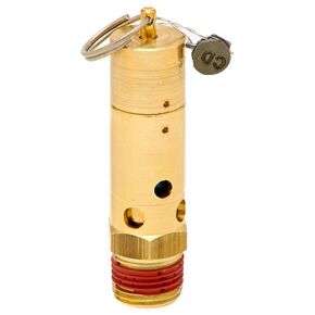 Control Devices SN Series Brass ASME Safety Valve, 200 psi Set Pressure, 1/2" Male NPT