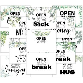 Open When Envelopes (Set of 16) - Going Away to College, University Gifts, Leaving Home, Daughter Son Friend Gift College gift, Color Design Open When Envelopes -01