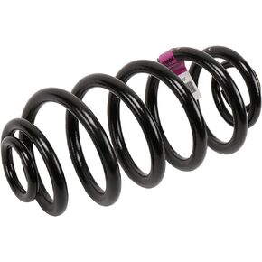 GM Genuine Parts 13312084 Rear Coil Spring, Black