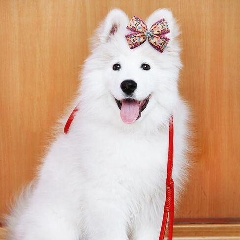 PET SHOW 10pairs Happy Birthday Small Dogs Hair Bows with Clips for Puppies Yorkie Shih tzu Medium Dogs Cats Rabbits 20pcs Pack Girl Boy Topknot Hair Accessories Grooming Costumes in Saudi Arabia
