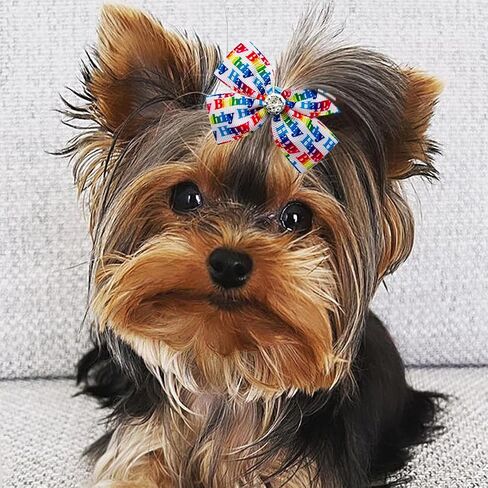 PET SHOW 10pairs Happy Birthday Small Dogs Hair Bows with Clips for Puppies Yorkie Shih tzu Medium Dogs Cats Rabbits 20pcs Pack Girl Boy Topknot Hair Accessories Grooming Costumes in Saudi Arabia