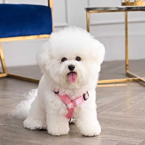 Juicy Couture Colorful Camo Dog Harness and Leash Set – Adjustable Puppy Harness with Puppy Leash & Mesh Padding Dog Harness, Large in Saudi Arabia