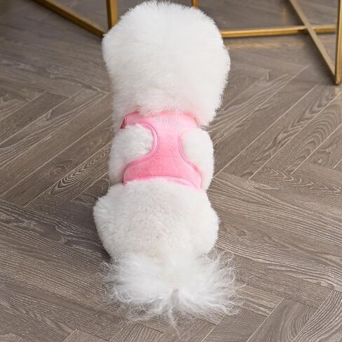 Juicy Couture Colorful Camo Dog Harness and Leash Set – Adjustable Puppy Harness with Puppy Leash & Mesh Padding Dog Harness, Large in Saudi Arabia