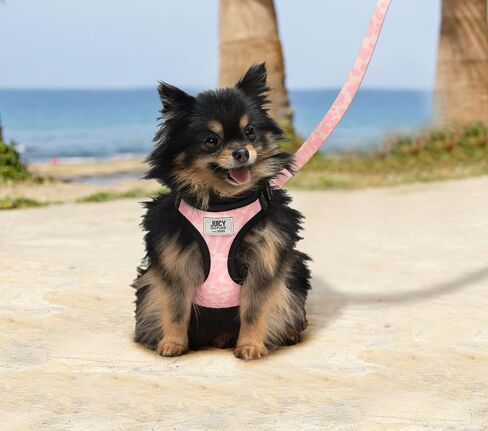 Juicy Couture Colorful Camo Dog Harness and Leash Set – Adjustable Puppy Harness with Puppy Leash & Mesh Padding Dog Harness, Large in Saudi Arabia