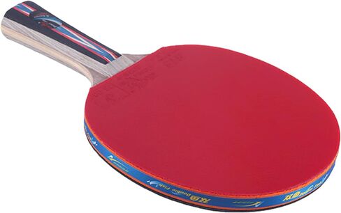 DOUBLE FISH Ping Pong Paddle | Table Tennis Racket & ITTF Approved Rubber | Training Wooden Ping Pong Paddles for Beginners,Table Tennis Paddle with Carry Storage Case in Saudi Arabia