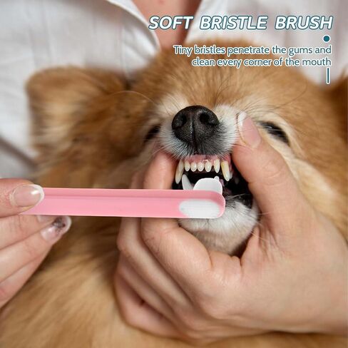KALIONE Dog Toothbrush, 3 Pack Extra Soft Cat Toothbrushes Pet Deep Clean Dense Brush Pet Toothbrush with Ultra Soft Bristles Dental Cleaning Brushes for Puppy Small Dog and Cat in Saudi Arabia