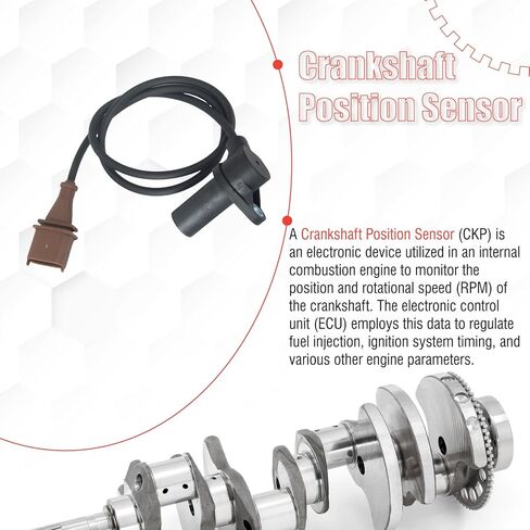 95560638100 Crankshaft Position Sensor Compatible with Cayenne 2003-2008 4.5L 4.8L V8 in Saudi Arabia