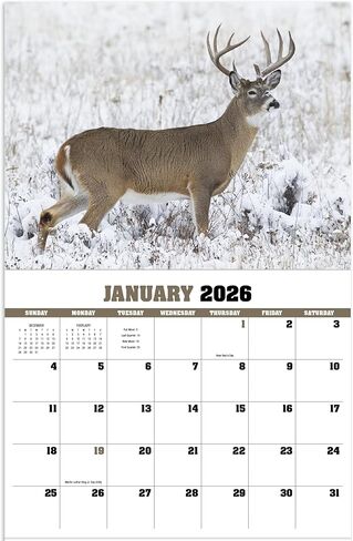 Trophy Whitetail Deer 2026 Hanging Wall Calendar - 19" x 11" (Open) 2026 Monthly Appointment Planner and Organizer. Trophy Whitetail Bucks for every hunter to look at! in Saudi Arabia