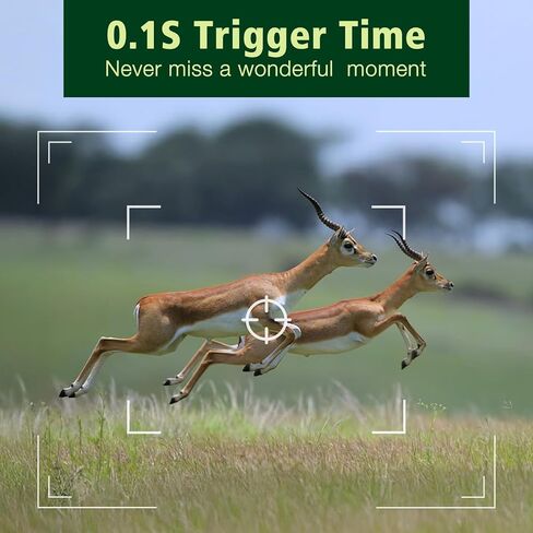 KJK Trail Camera in Saudi Arabia