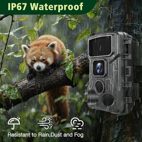 KJK Trail Camera in Saudi Arabia