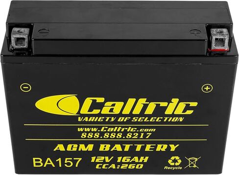 Caltric Agm Battery Compatible with Yamaha Vmax 600 Vx600 Dx Le St Sx Sxs Xt Xtc Xtr 1994-1998 in Saudi Arabia