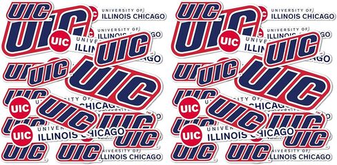 Desert Cactus University of Illinois at Chicago Stickers Flames Vinyl Decals Laptop Water Bottle Car Scrapbook T1 (Type 1-1) in Saudi Arabia