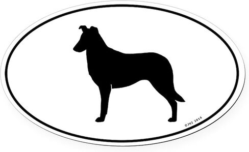 مغناطيس السيارة البيضاوي الناعم من CafePress، مغناطيس المصد البيضاوي الأوروبي in Kuwait