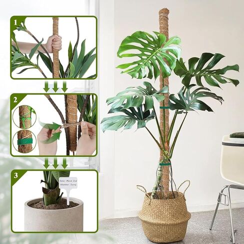 4 قطع من عمود الطحالب القابل للانحناء لدعم نبات Monstera، عصا عمود جوز الهند المصنوعة يدويًا مقاس 24 بوصة لتسلق النباتات أوتاد النباتات الداخلية للنباتات في الأصيص لتنمو لأعلى in Kuwait