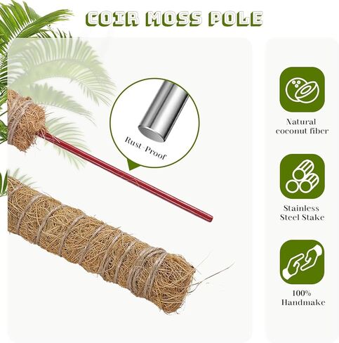 4 قطع من عمود الطحالب القابل للانحناء لدعم نبات Monstera، عصا عمود جوز الهند المصنوعة يدويًا مقاس 24 بوصة لتسلق النباتات أوتاد النباتات الداخلية للنباتات في الأصيص لتنمو لأعلى in Kuwait