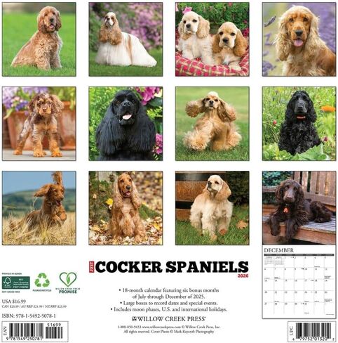 Willow Creek Press, Just Cocker Spaniels 2026 Wall Calendar, 12'' X 12'', 18-Month Calendar with Stapled Binding in Saudi Arabia