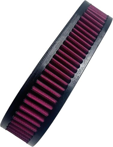 Air Filter for Harley Touring CVO Model,Road King CVO,Electra Glide CVO, Road Glide CVO, Street Glide,Fat Bob FXDL, Dyna Low Rider 2009-2017 HD-0910,29670-09 in Saudi Arabia