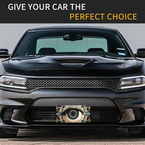 Skull Retro Cool License Plate Front Door Plates Waterproof Rust-Free Metal License Plates Covers Aluminum Car Plate fit Truck SUV Rv Car Decorative Accessories for Women Men in Saudi Arabia