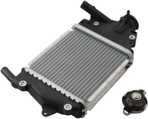 Radiator Assembly For PCX125 Compatible With PCX 125 WW125 2012 To 2018 SH125 ABS 2013 To 2014 Part Number 19100-KWN-781 Scooter Replacement Parts in Saudi Arabia