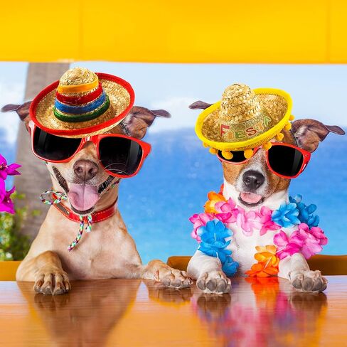18 Pieces Mexican Sombrero Headbands Cinco De Mayo Hat Headhair Fiesta Headbands for Fun Fiesta Party Supplies Mexican Theme Decorations in Saudi Arabia