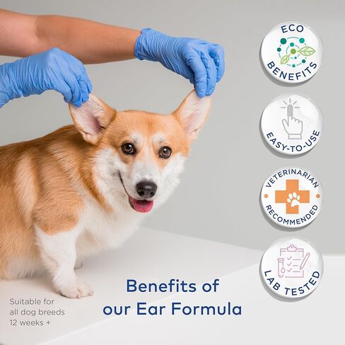 Dental Care Finger Wipes for Dogs - Dog Dental Teeth Cleaning Wipes for Dogs- Pre-Soaked Oral Cleaning Pads- Reduces Plaque, Tartar & Freshen Breath - 50 Disposable Wipes in Saudi Arabia