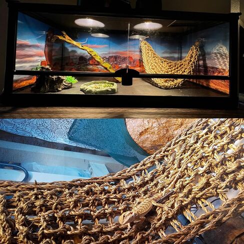 Bearded Dragon Tank Hammock,Natural Seagrass Reptile Lounger Hammocks Decor Flexible Leaves Jungle Climber Vines Habitat Accessories for Lizard Chameleon Gecko Snakes(5 PCS) in Saudi Arabia