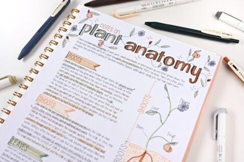 مجموعة أقلام تدوين الملاحظات الإبداعية من قلم الحمار الوحشي، تتضمن 6 أقلام تمييز، و5 أقلام تحديد قابلة للسحب من ClickArt، وقلم جل Sarasa قابل للسحب، وألوان حبر متنوعة، 12 عبوة in Saudi Arabia