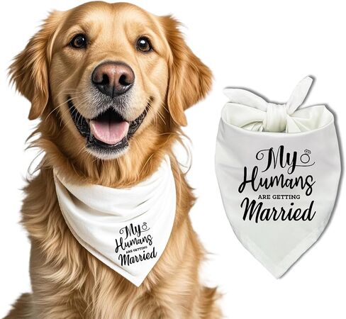 My Humans are Getting Married Dog Bandana، إكسسوارات لهدايا محبي الكلاب الأليفة، هدية خطوبة للكلاب، وشاح للحيوانات الأليفة، إكسسوارات للحيوانات الأليفة باللون الأسود in Kuwait