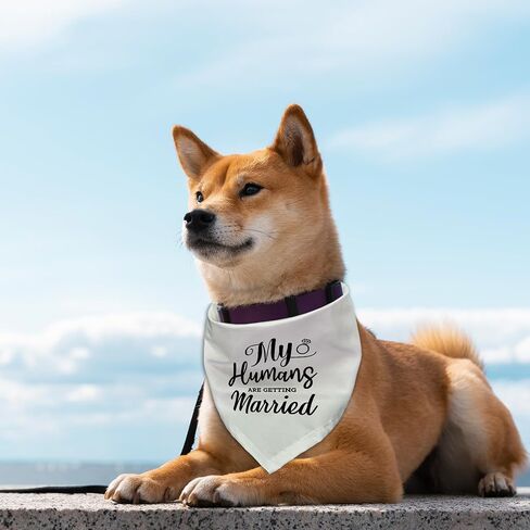 My Humans are Getting Married Dog Bandana، إكسسوارات لهدايا محبي الكلاب الأليفة، هدية خطوبة للكلاب، وشاح للحيوانات الأليفة، إكسسوارات للحيوانات الأليفة باللون الأسود in Kuwait