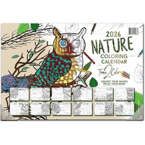Time2Color 2026 Home Edition Desk Blotter/Wall Coloring Calendar: Nature Theme (19" x 13") in Saudi Arabia
