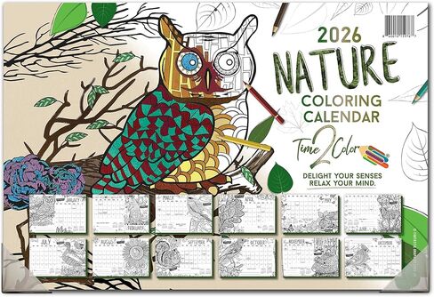 Time2Color 2026 Home Edition Desk Blotter/تقويم تلوين الحائط: موضوع طبيعي (19 بوصة × 13 بوصة) in Saudi Arabia