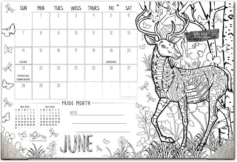 Time2Color 2026 Home Edition Desk Blotter/تقويم تلوين الحائط: موضوع طبيعي (19 بوصة × 13 بوصة) in Saudi Arabia