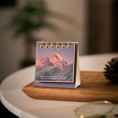 2Pcs Mini Desk Calendar 2025-2026, Standing Flip Small Desk Calendar-Monthly Desktop Calendar- Thick Paper Twin-Wire Binding for Home or Office (Style4, 7x6.5x3.5cm) in Saudi Arabia