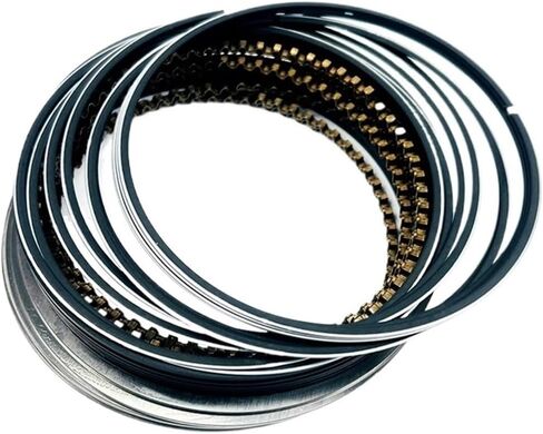 Engine Piston 12481987 Engine Piston Set STD Fit for Buick Fit for Chevy New Century Regal GL8 2.5 3.0 60 L82 Car Accessories O-Ring Part Engine Piston kit in Saudi Arabia