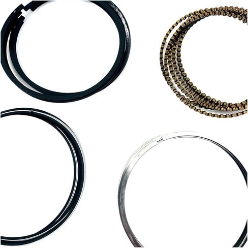 Engine Piston 12481987 Engine Piston Set STD Fit for Buick Fit for Chevy New Century Regal GL8 2.5 3.0 60 L82 Car Accessories O-Ring Part Engine Piston kit in Saudi Arabia