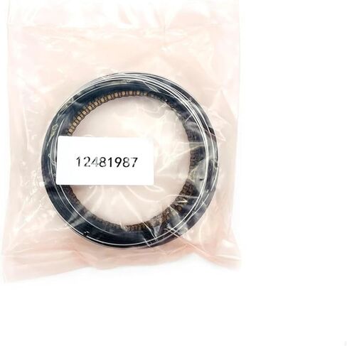 Engine Piston 12481987 Engine Piston Set STD Fit for Buick Fit for Chevy New Century Regal GL8 2.5 3.0 60 L82 Car Accessories O-Ring Part Engine Piston kit in Saudi Arabia
