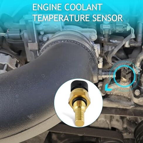 Engine Coolant Temperature Sensor Compatible with Chevy Cavalier Cobalt Equinox Express Silverado 1500 2500 HD 3500 GMC Sierra Pontiac G5 Saturn, Replace 19236568 213-4514 213-4333 in Saudi Arabia