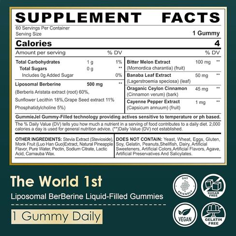 مكمل بربارين 500 مجم، مرة واحدة يوميًا، 15 مرة أفضل من التوافر الحيوي لصمغ البربرين الشحمي مع قرفة سيلان، البطيخ المر لعملية التمثيل الغذائي المتوازن، منشط AMPK، خالي من السكر، نباتي، 60 قطعة in Kuwait