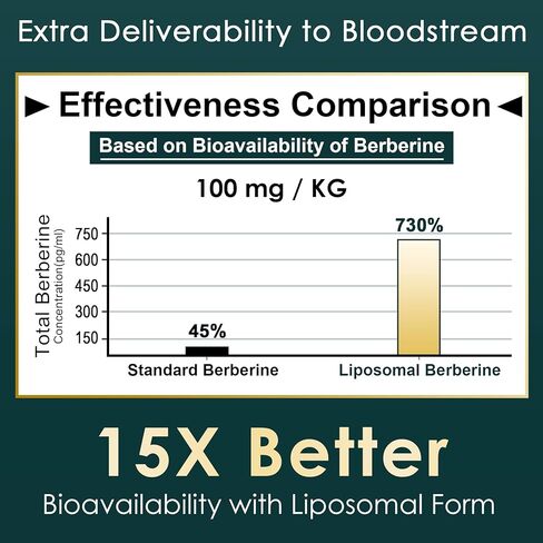 مكمل بربارين 500 مجم، مرة واحدة يوميًا، 15 مرة أفضل من التوافر الحيوي لصمغ البربرين الشحمي مع قرفة سيلان، البطيخ المر لعملية التمثيل الغذائي المتوازن، منشط AMPK، خالي من السكر، نباتي، 60 قطعة in Kuwait