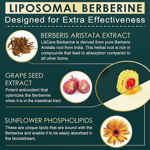 مكمل بربارين 500 مجم، مرة واحدة يوميًا، 15 مرة أفضل من التوافر الحيوي لصمغ البربرين الشحمي مع قرفة سيلان، البطيخ المر لعملية التمثيل الغذائي المتوازن، منشط AMPK، خالي من السكر، نباتي، 60 قطعة in Kuwait