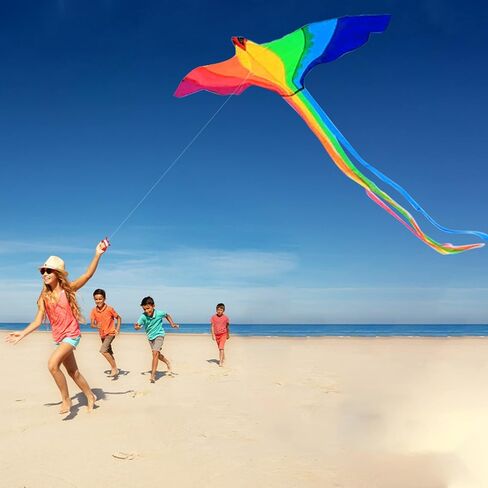 HENGDA KITE Phoenix Kite، للأطفال والكبار، سهلة الطيران، تصميم ممتاز للنسيج والهيكل، الصور جميلة بدقة عالية، مناسبة للمبتدئين in Kuwait