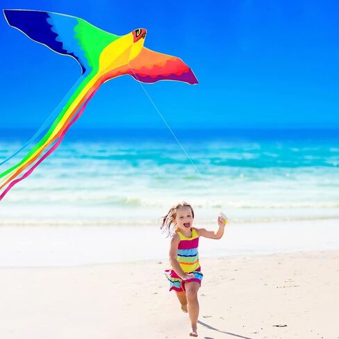 HENGDA KITE Phoenix Kite، للأطفال والكبار، سهلة الطيران، تصميم ممتاز للنسيج والهيكل، الصور جميلة بدقة عالية، مناسبة للمبتدئين in Kuwait