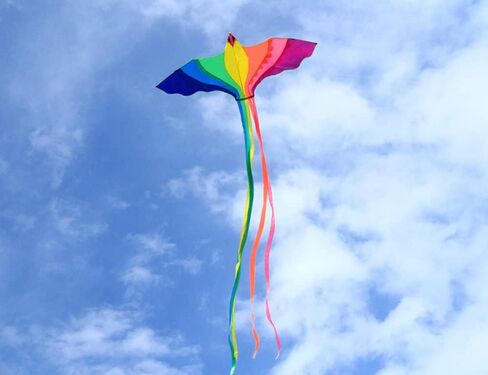 HENGDA KITE Phoenix Kite، للأطفال والكبار، سهلة الطيران، تصميم ممتاز للنسيج والهيكل، الصور جميلة بدقة عالية، مناسبة للمبتدئين in Kuwait