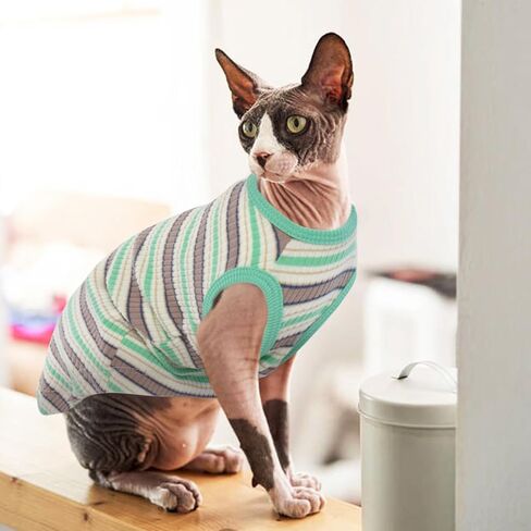 ملابس القطط ROZKITCH Sphynx، قميص قطط ناعم بدون شعر، سترة قطط قابلة للتمدد، بلوفر بيجامة قطط مخططة، سترة قطط لكورنيش ريكس، ديفون ريكس، بيتربالد هريرة جرو كلب صغير كل المواسم أخضر L in Kuwait
